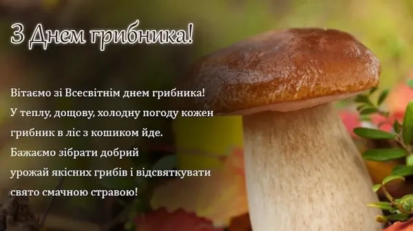 3 жовтня – День грибника: найкращі листівки та теплі привітання