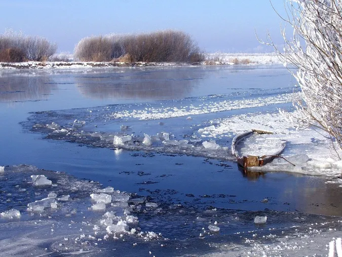 У Володимирі на березі знайшли тіло дитини (фото 18+, оновлено)