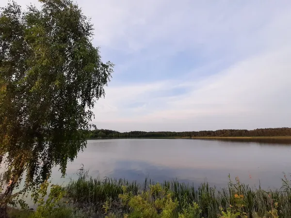 Морські пляжі посеред лісу: на Поліссі причаїлося глибоке озеро з цілющою водою (фото)
