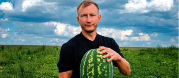 «Помідори файні, кавуни – суперові»: як подружжя з Волині вирощує 30 сотих баштанних (фото, відео)