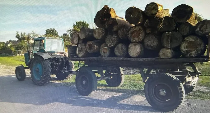 Знайшов у лісі: на Волині затримали тракториста, який віз 26 колод осики (фото)