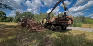 На Любомльщині серед лісу помітили 70 м³ «лівої» деревини (фото)