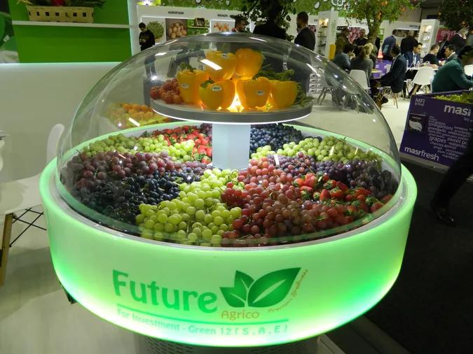 Волинські підприємці їздили на міжнародний ярмарок FRUIT LOGISTICA у Берліні (фото)