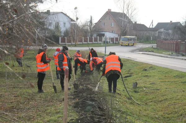 Парки, сквери, вулиці: у Луцькій громаді восени висадили 254 дерева та 285 кущів (фото)
