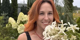 «У цьому раю працює вся наша сім’я»: волиняни вирощують тисячі гортензій щороку (фото, відео)