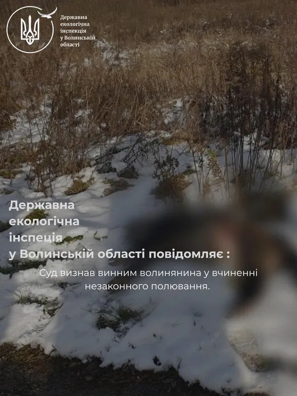 За вбивство дикої свині волинянин влетів на 40 000