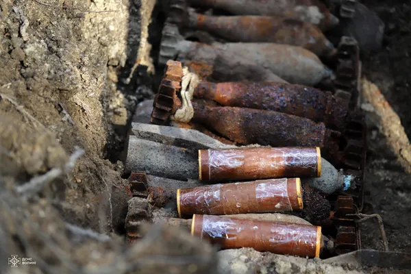 У лісі на Волині знайшли схрон боєприпасів німецької армії часів Другої світової війни (фото)