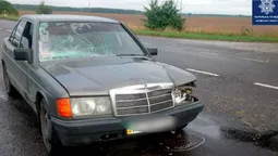 На Волині ДТП за участю воза та «мерседеса»: є постраждалий (фото)