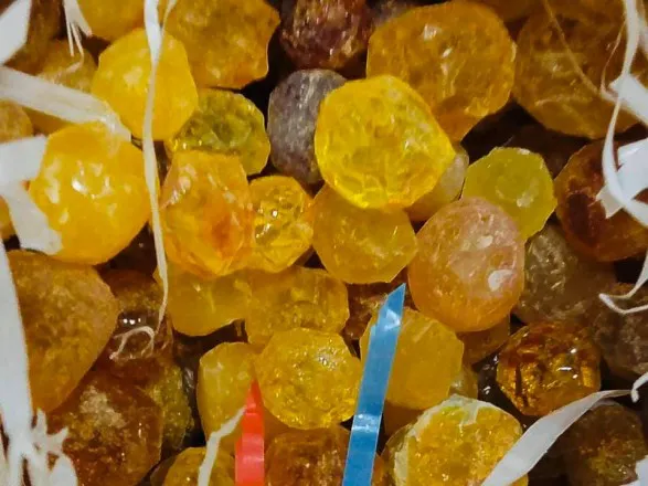 Волинянина судитимуть за потай куплений бурштин