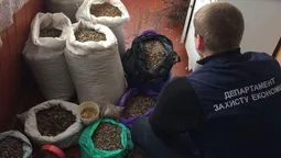 На Волині вилучили нелегального бурштину на півмільйона гривень  (фото)