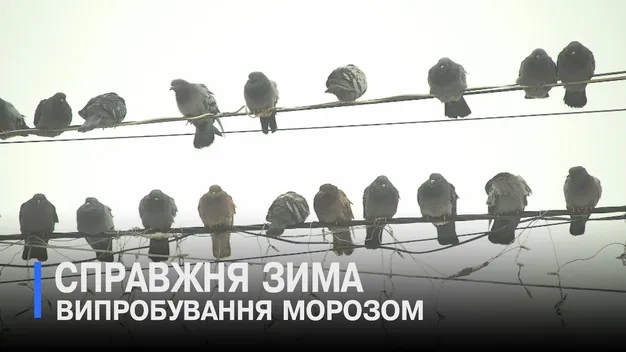 Синоптики б’ють на сполох: на Волинь сунуть люті морози (відео)