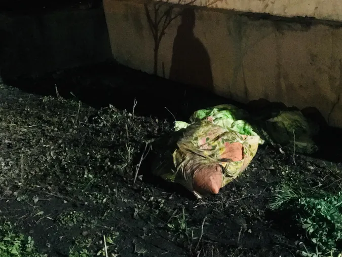 У Луцьку на Шевченка горів житловий будинок: троє людей загинуло (фото)