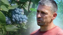 Після поранення на фронті ветеран з Волині започаткував ягідний бізнес (відео)