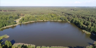 У лісах Полісся є загадкове озеро, воду якого буковинський мольфар називав цілющою (фото)
