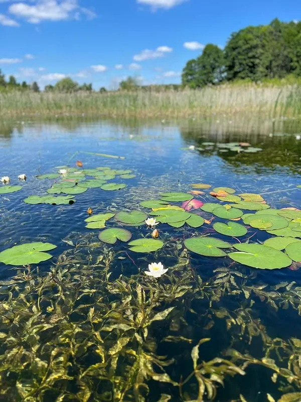 У Шацьких озерах вимірювали рівень води: які результати (фото)
