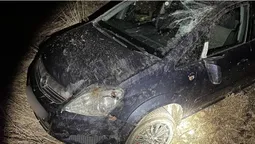 На Волині водій хильнув після ДТП: що йому загрожує (фото)