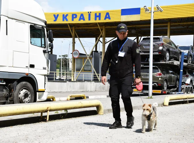 Шукає зброю та вибухівку: з волинськими прикордонниками служить фокстер'єр Фоксі (фото)