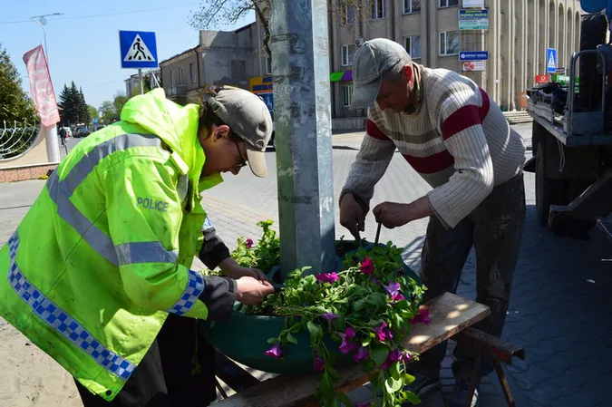 У Ковелі квітне алея сакур