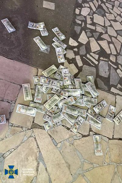 У валізах і на тілі: в Україну намагалися завезти готівку на 37 млн грн (фото)
