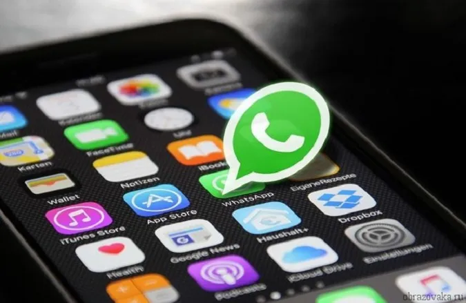 У WhatsApp з'явилася функція, якої немає навіть в Telegram