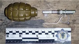 Волиняни вдома зберігали гранати, набої та марихуану: вони підуть під суд (фото)