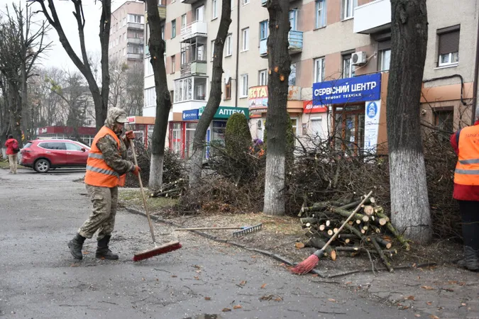 Навіщо на Волі в Луцьку обрізають дерева (фото)