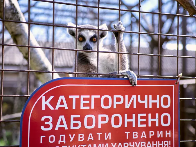 Луцький зоопарк потребує підтримки: як допомогти, аби не нашкодити
