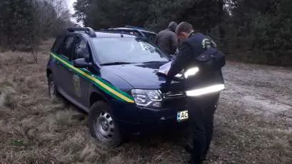 Встигли завезти на пилораму: на Волині вкрали лісу на 52 тисячі гривень