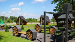 На околиці Луцька відкрили нову зону відпочинку серед лісу (фото)