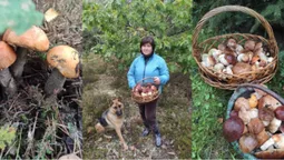 Волинянка в День грибників зачарувала мережу своїм «уловом» (фото)