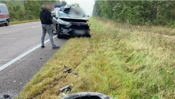 Легковик зіткнувся з вантажівкою під час обгону: деталі страшної ДТП на Маневиччині (фото)