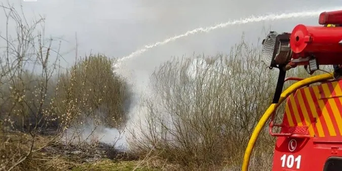 Вогонь сунув на ліс та будинки: у Луцькому районі горіли 3 гектари чагарників (фото)