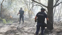 Показали, як волинські сапери працюють на Донеччині (фото)
