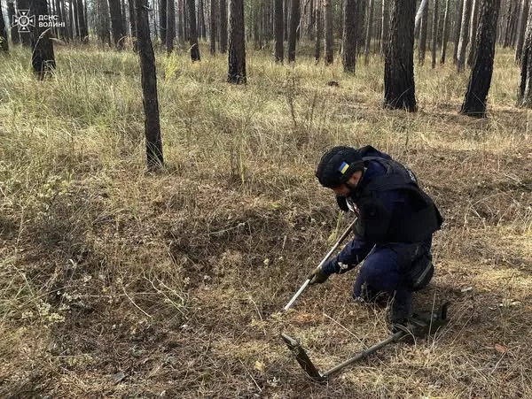 Волинські сапери розміновують поля і ліси на Сході України (фото)
