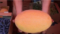 За скільки у Луцьку можна купити літні фрукти та кукурудзу (фото)