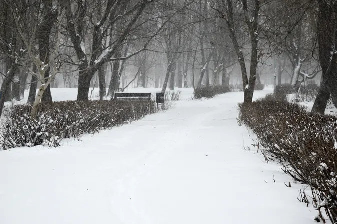 Люті зими повертаються: Луцьк замело снігом (фото)