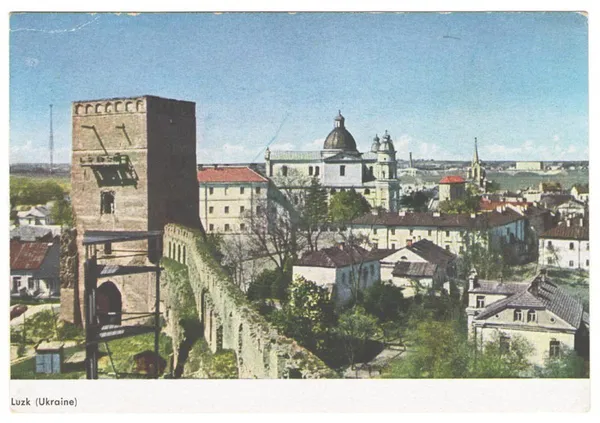 Яким він був: історія Лесиного ясена у фото