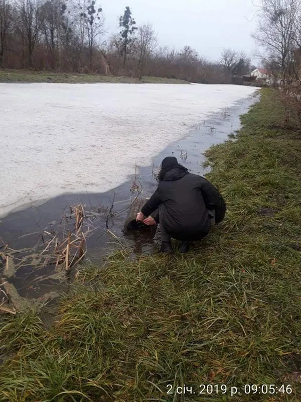 Безпечне місто: у луцькому парку встановлять відеокамери (фото)