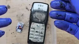 Nokia пролежала 15 років у Чорному морі: що з нею стало (фото)