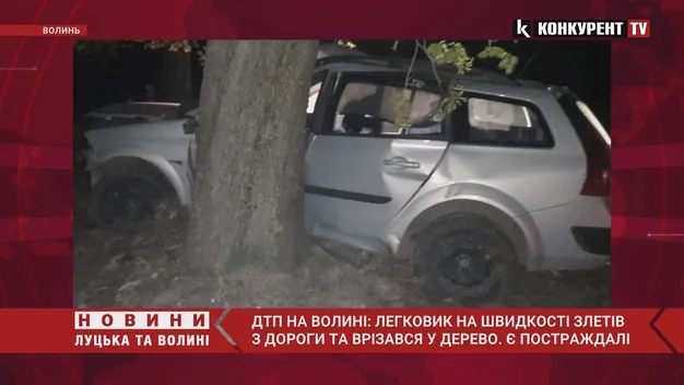 У Луцькому районі «рено» влетіло у дерево – є потерпілі (фото, відео)