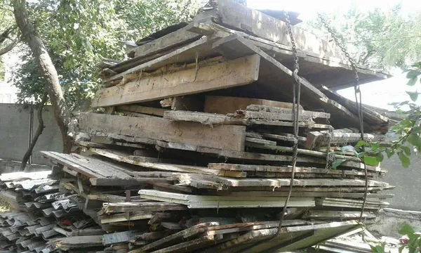 У центрі міста лучани тримали свиней, кролів і курей (фото)