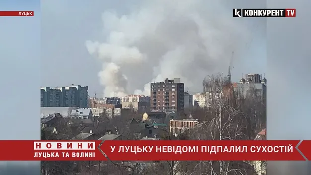 Під Луцьком горіло близько 50 гектарів сухої трави