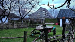 Спокій, лебеді, хатинки: показали неймовірну красу музею під Луцьком (фото)