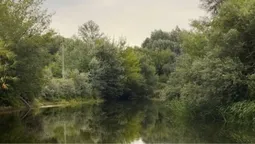 Водяться соми, коропи, лящі і не тільки: розсекретили гарне місце на Стиру біля Луцька, де багато риби