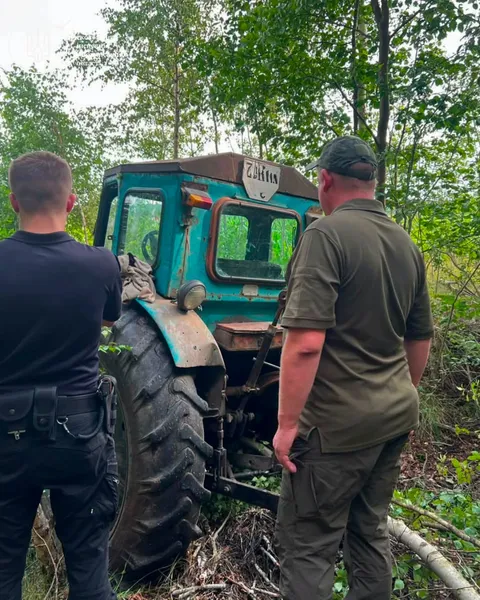 У лісі на Волині невідомі зрубали майже пів тисячі дерев