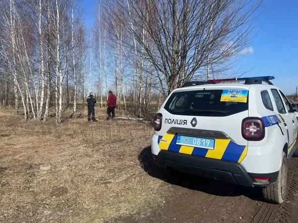 На Волині незаконно зрубали 7 дерев