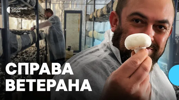«Можна їсти з грядки»: як ветеран відкрив грибну ферму на Волині (фото, відео)