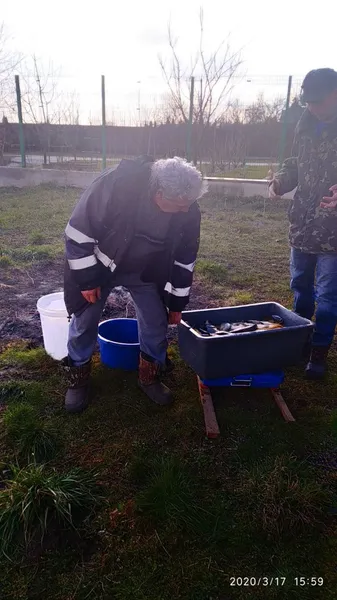 У Хрінницьке водосховище вселили майже тонну риби