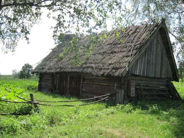 Село на краю світу: де на Поліссі ще можна побачити життя, як 200 років тому (фото)
