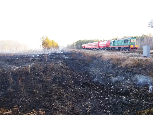 У Зоні відчуження горить уже 5 лісництв (фото)